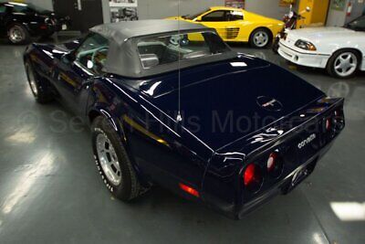 Chevrolet-Corvette-Cabriolet-1981-Blue-Gray-48615-8