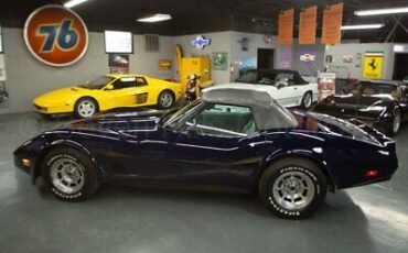 Chevrolet-Corvette-Cabriolet-1981-Blue-Gray-48615-9