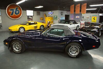 Chevrolet-Corvette-Cabriolet-1981-Blue-Gray-48615-9