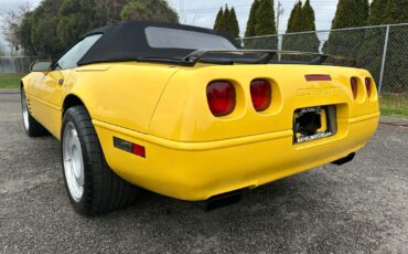 Chevrolet-Corvette-Cabriolet-1992-3