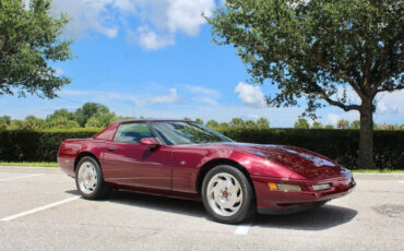 Chevrolet-Corvette-Cabriolet-1993-Red-Red-96562-3