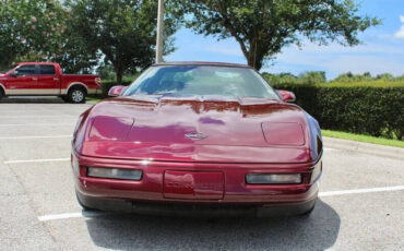 Chevrolet-Corvette-Cabriolet-1993-Red-Red-96562-5