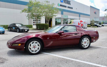 Chevrolet-Corvette-Cabriolet-1993-Red-Red-96562-7