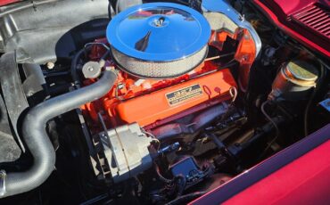 Chevrolet-Corvette-Coupe-1966-MILANO-MAROON-Black-94291-34