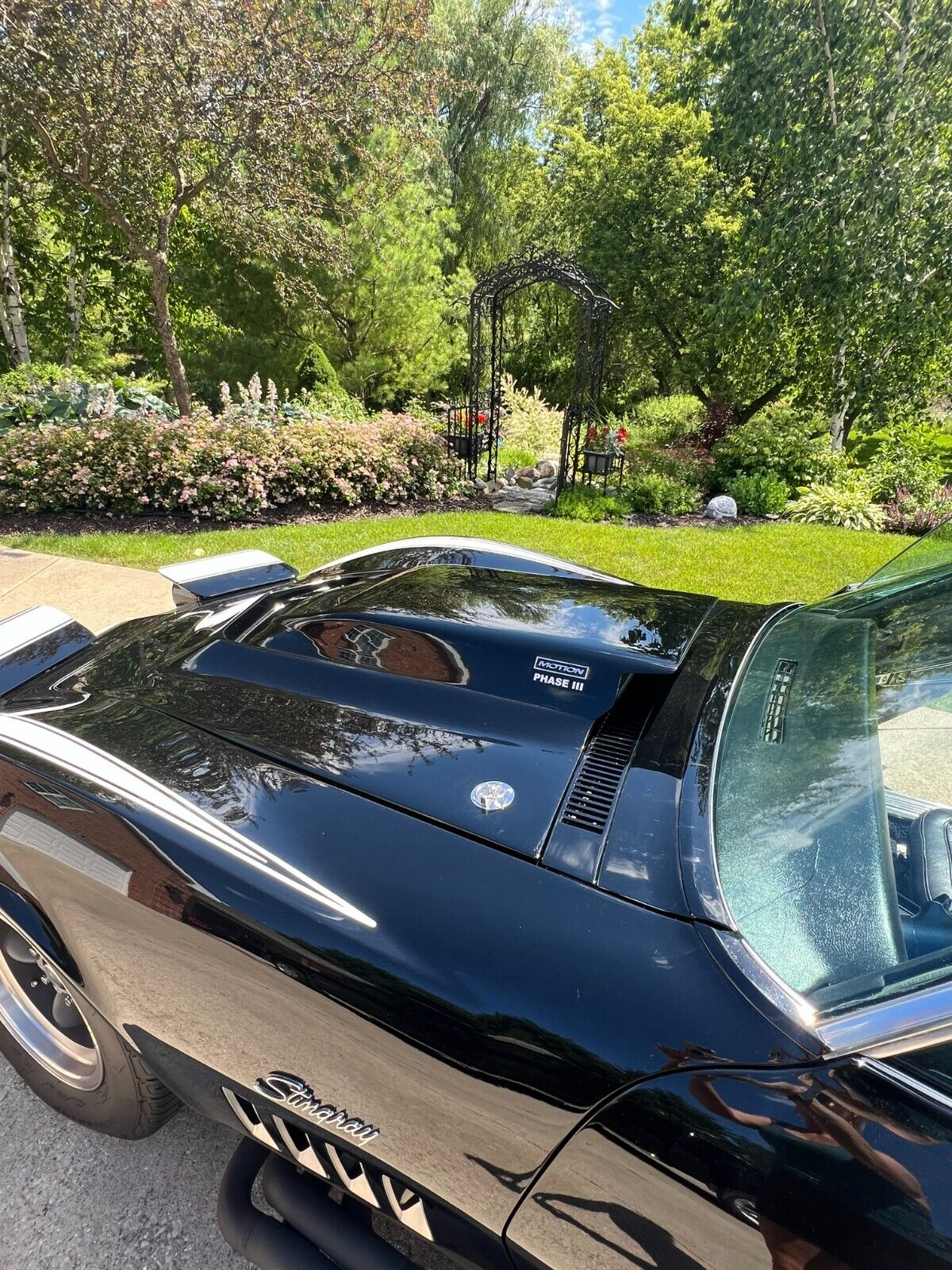 Chevrolet-Corvette-Coupe-1969-Black-Black-4828-10