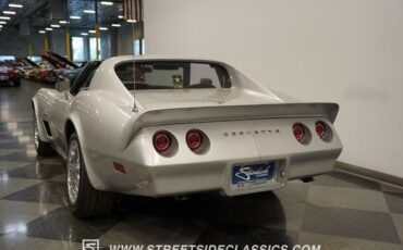 Chevrolet-Corvette-Coupe-1974-Silver-Black-102673-8