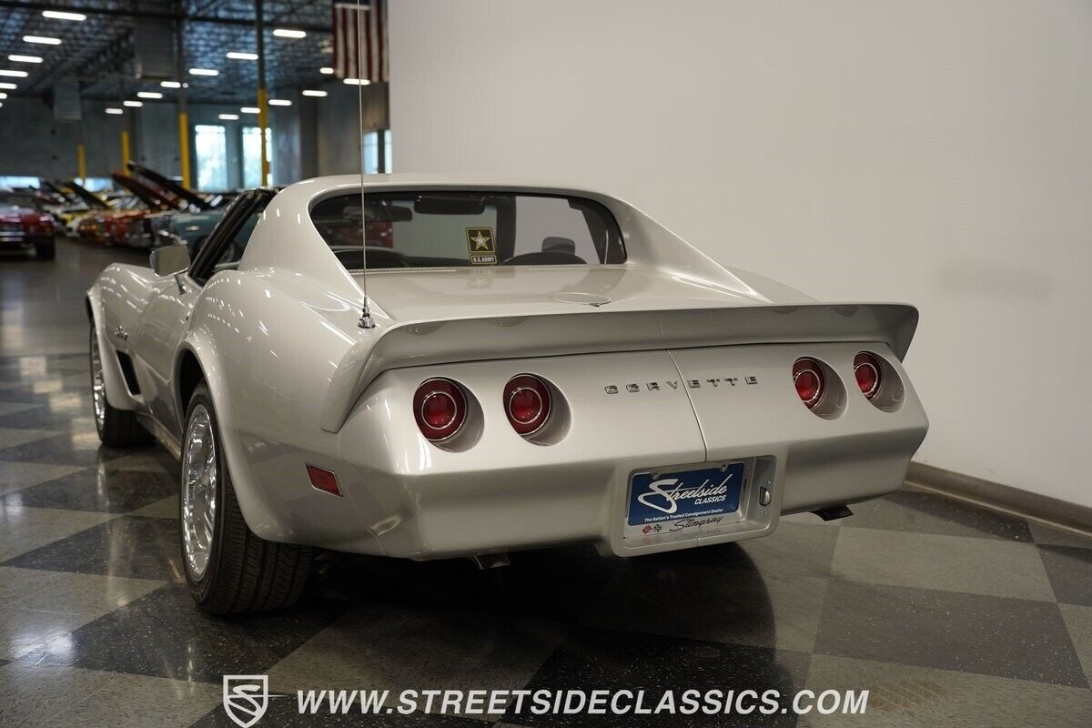 Chevrolet-Corvette-Coupe-1974-Silver-Black-102673-8