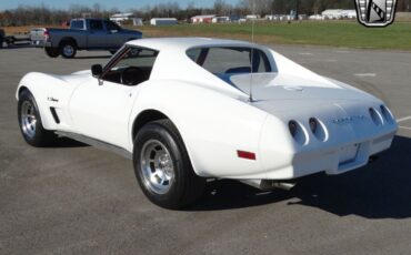 Chevrolet-Corvette-Coupe-1974-White-Maroon-169725-5