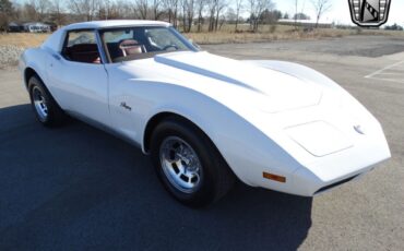 Chevrolet-Corvette-Coupe-1974-White-Maroon-169725-9