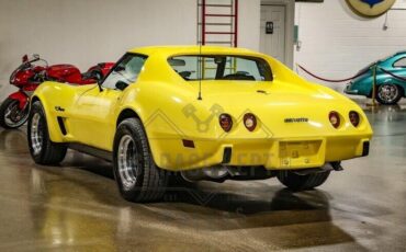 Chevrolet-Corvette-Coupe-1976-Yellow-Black-115309-11