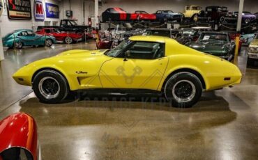 Chevrolet-Corvette-Coupe-1976-Yellow-Black-115309-9