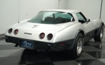 Chevrolet-Corvette-Coupe-1978-Silver-Black-28740-10