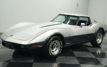 Chevrolet-Corvette-Coupe-1978-Silver-Black-28740-5