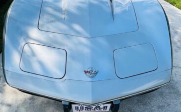 Chevrolet-Corvette-Coupe-1978-Silver-Oyster-15001-3