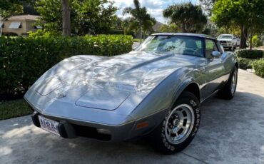 Chevrolet-Corvette-Coupe-1978-Silver-Oyster-15001-5