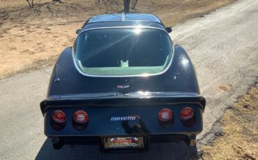 Chevrolet-Corvette-Coupe-1979-Black-Black-25704-4