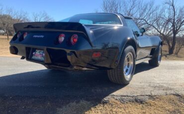 Chevrolet-Corvette-Coupe-1979-Black-Black-25704-5