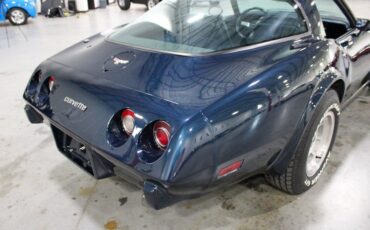 Chevrolet-Corvette-Coupe-1979-Blue-Blue-105315-10