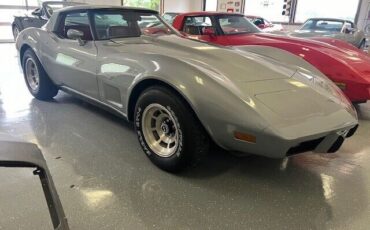 Chevrolet-Corvette-Coupe-1979-Silver-Red-45915-13