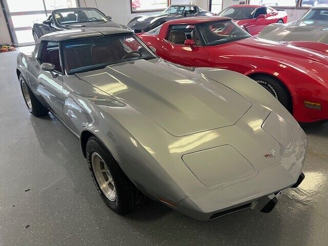 Chevrolet-Corvette-Coupe-1979-Silver-Red-45915-14