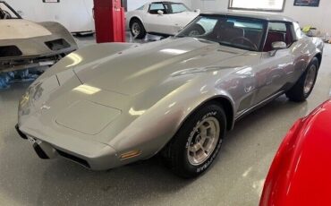 Chevrolet-Corvette-Coupe-1979-Silver-Red-45915-15