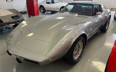 Chevrolet-Corvette-Coupe-1979-Silver-Red-45915-16