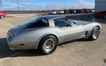 Chevrolet-Corvette-Coupe-1979-Silver-Red-45915-6