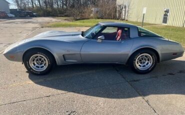 Chevrolet-Corvette-Coupe-1979-Silver-Red-45915-8