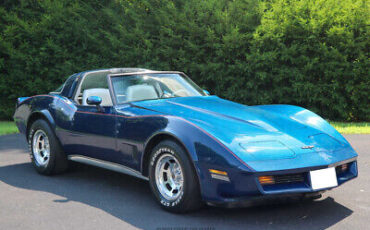 Chevrolet-Corvette-Coupe-1981-11