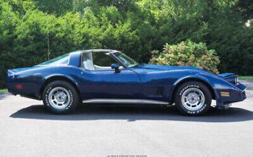 Chevrolet-Corvette-Coupe-1981-8