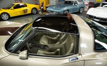 Chevrolet-Corvette-Coupe-1982-Gold-Gold-414-11