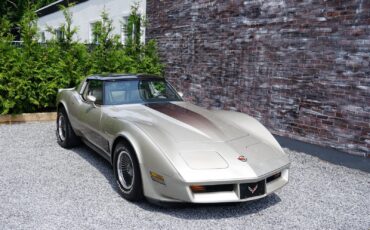 Chevrolet-Corvette-Coupe-1982-Silver-Beige-Metallic-Silver-Beige-35127-1