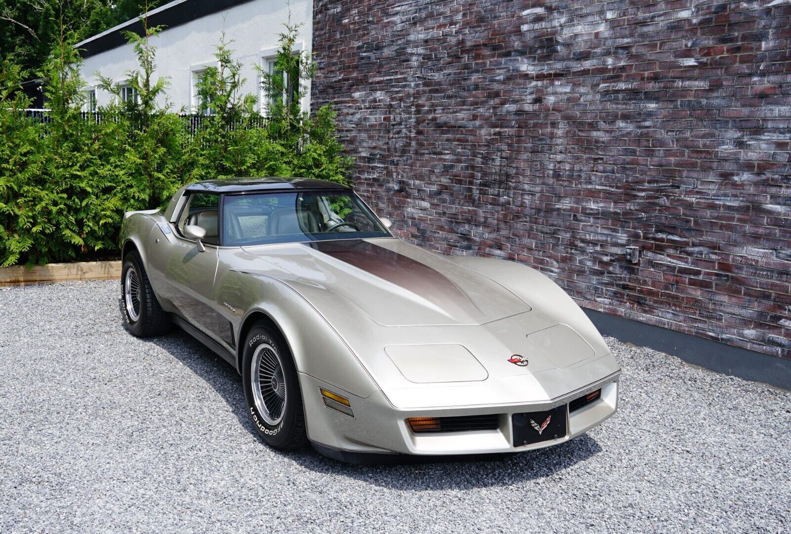 Chevrolet-Corvette-Coupe-1982-Silver-Beige-Metallic-Silver-Beige-35127-1