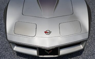 Chevrolet-Corvette-Coupe-1982-Silver-Beige-Metallic-Silver-Beige-35127-13