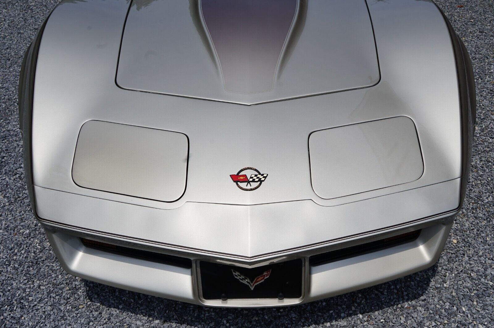 Chevrolet-Corvette-Coupe-1982-Silver-Beige-Metallic-Silver-Beige-35127-13