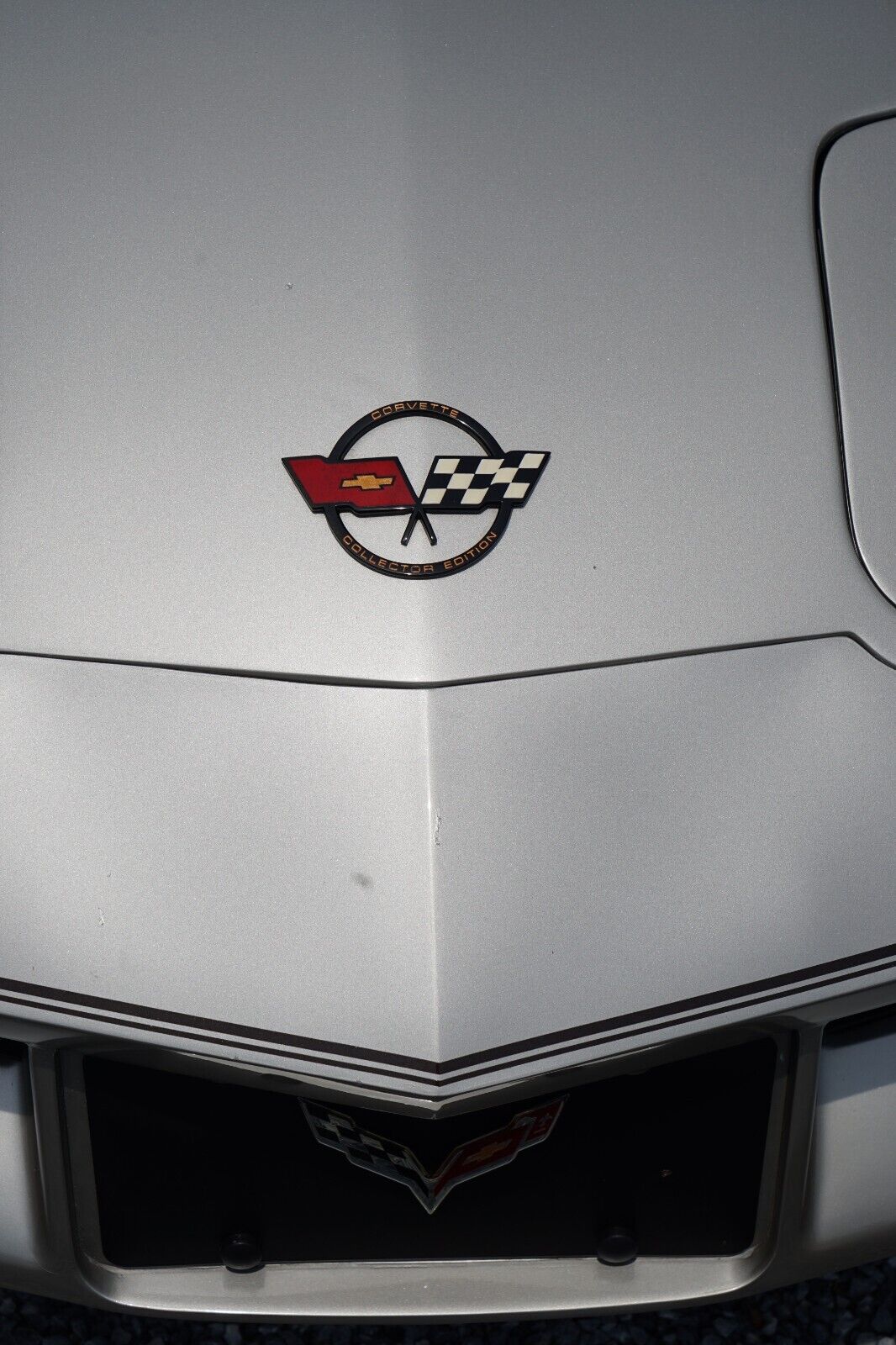 Chevrolet-Corvette-Coupe-1982-Silver-Beige-Metallic-Silver-Beige-35127-15