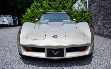 Chevrolet-Corvette-Coupe-1982-Silver-Beige-Metallic-Silver-Beige-35127-16