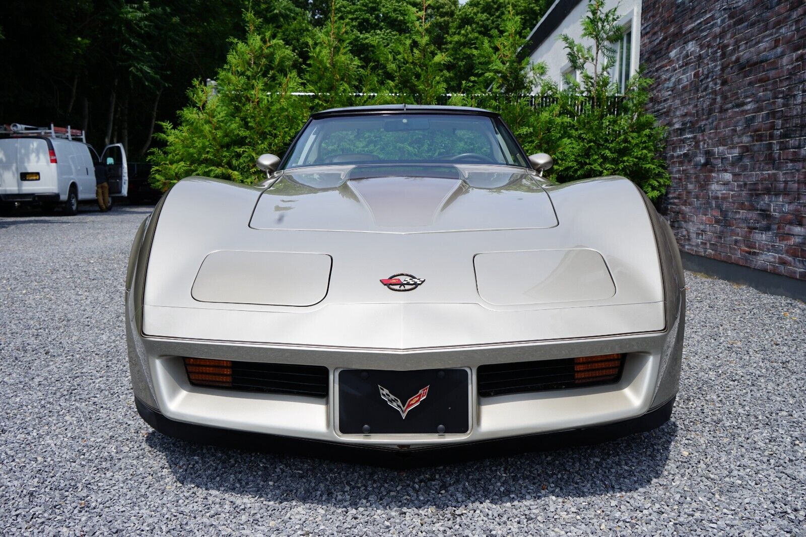 Chevrolet-Corvette-Coupe-1982-Silver-Beige-Metallic-Silver-Beige-35127-16