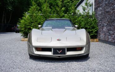 Chevrolet-Corvette-Coupe-1982-Silver-Beige-Metallic-Silver-Beige-35127-2