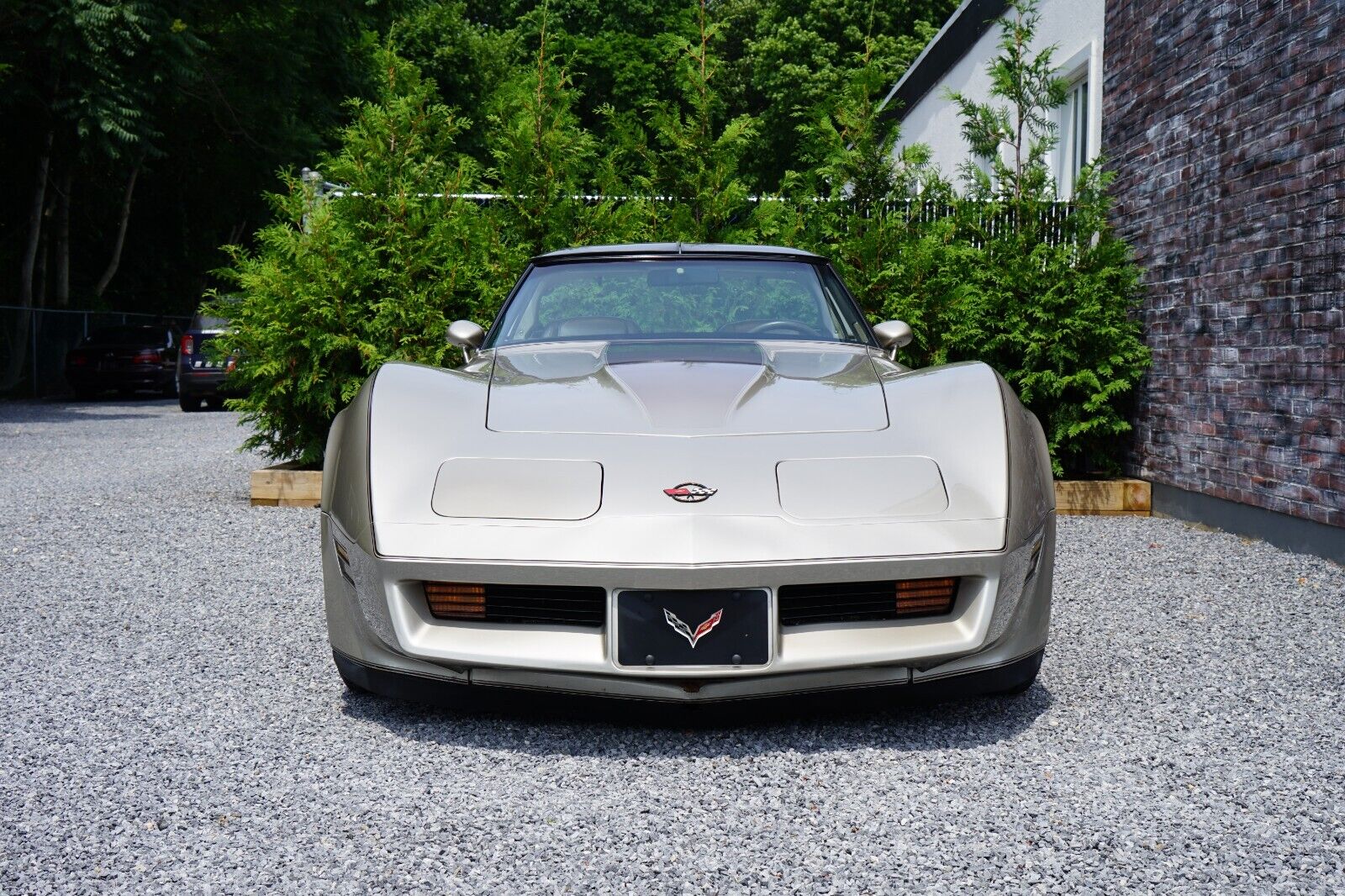 Chevrolet-Corvette-Coupe-1982-Silver-Beige-Metallic-Silver-Beige-35127-2