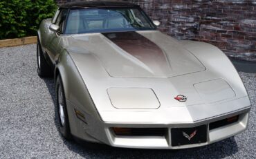 Chevrolet-Corvette-Coupe-1982-Silver-Beige-Metallic-Silver-Beige-35127-21