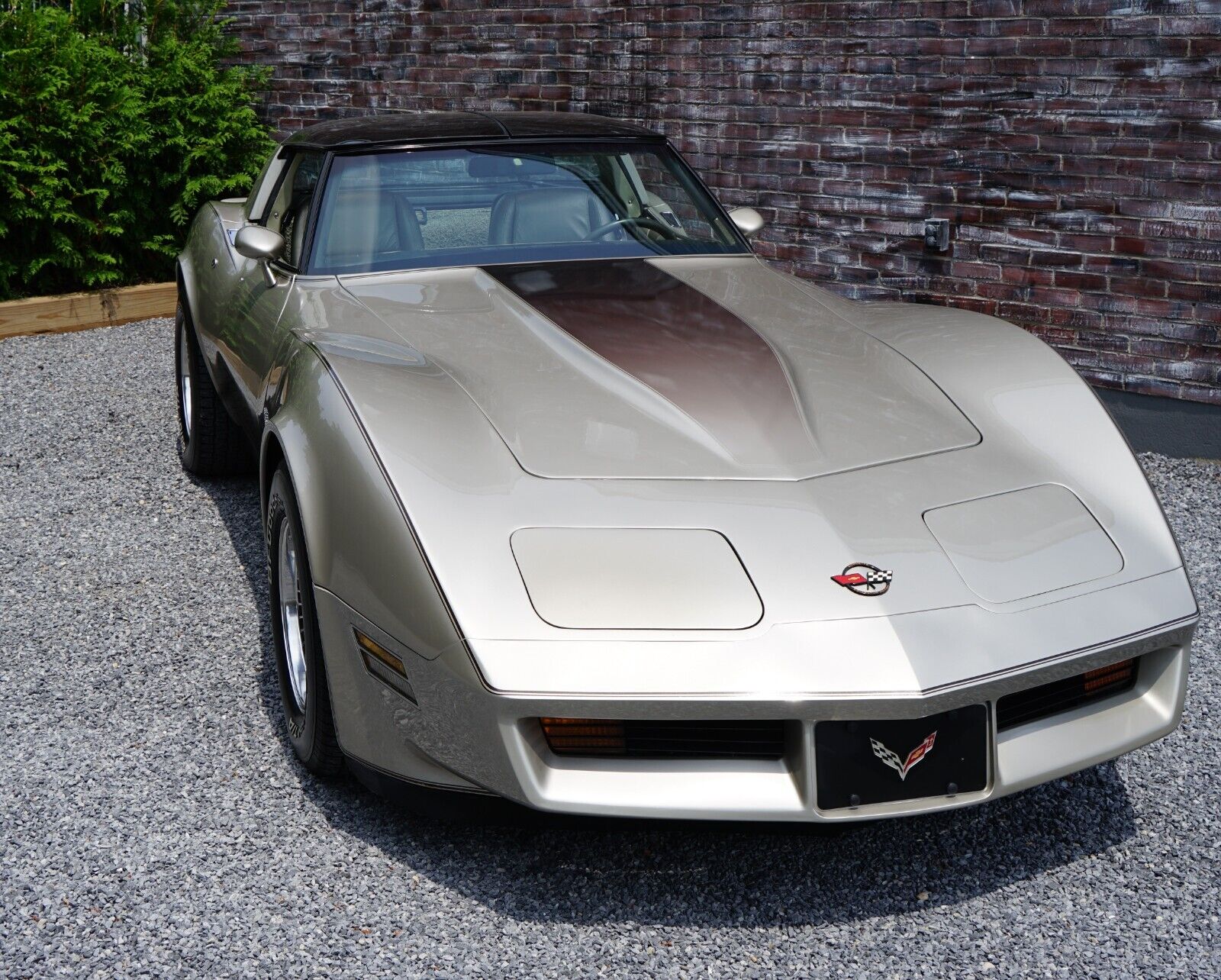 Chevrolet-Corvette-Coupe-1982-Silver-Beige-Metallic-Silver-Beige-35127-21