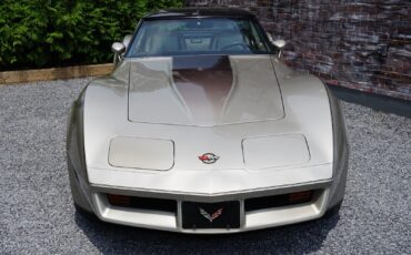 Chevrolet-Corvette-Coupe-1982-Silver-Beige-Metallic-Silver-Beige-35127-22