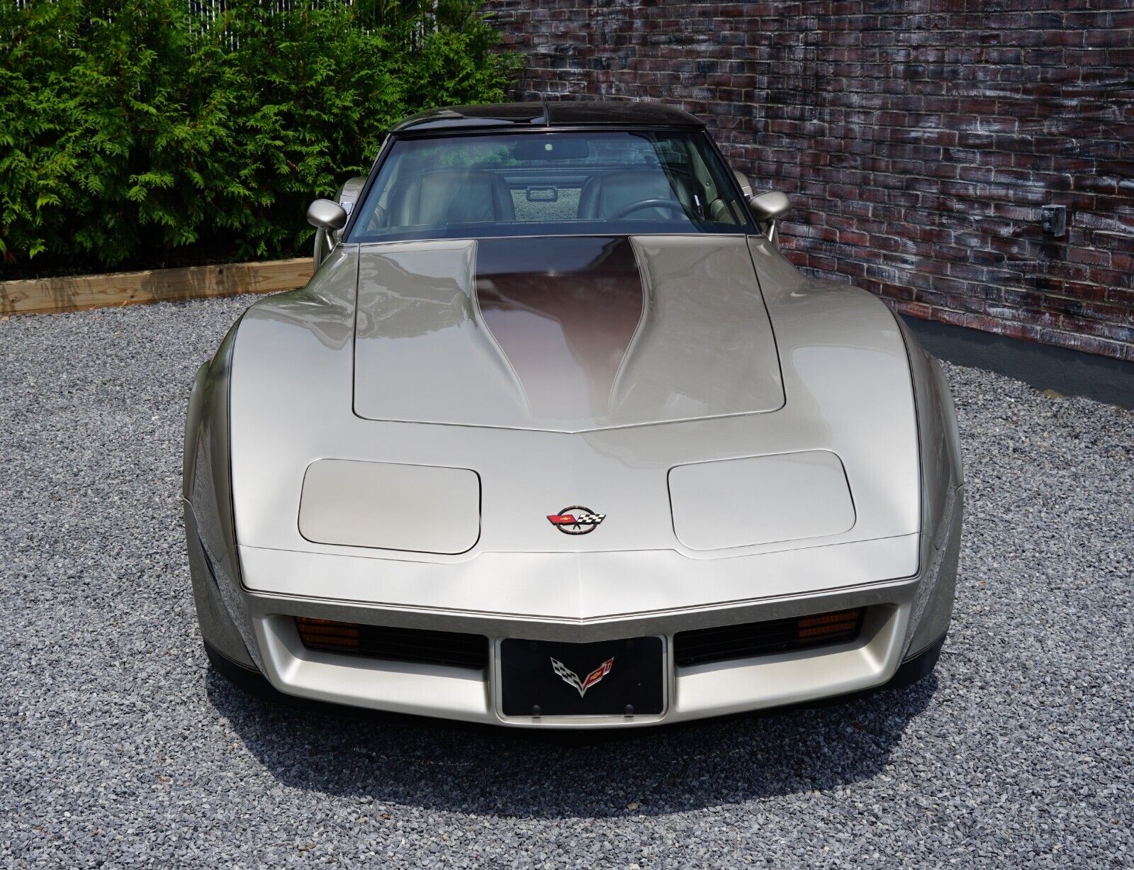 Chevrolet-Corvette-Coupe-1982-Silver-Beige-Metallic-Silver-Beige-35127-22