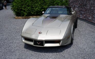 Chevrolet-Corvette-Coupe-1982-Silver-Beige-Metallic-Silver-Beige-35127-23