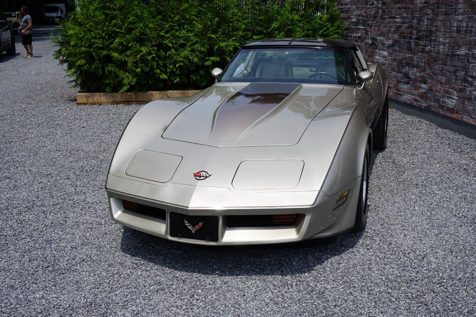 Chevrolet-Corvette-Coupe-1982-Silver-Beige-Metallic-Silver-Beige-35127-23