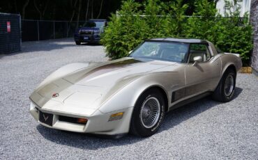 Chevrolet-Corvette-Coupe-1982-Silver-Beige-Metallic-Silver-Beige-35127-24