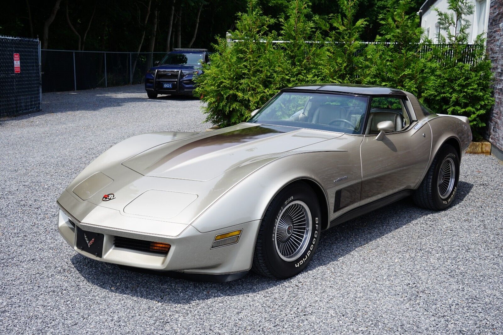 Chevrolet-Corvette-Coupe-1982-Silver-Beige-Metallic-Silver-Beige-35127-24