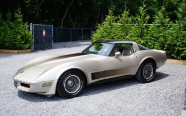 Chevrolet-Corvette-Coupe-1982-Silver-Beige-Metallic-Silver-Beige-35127-25