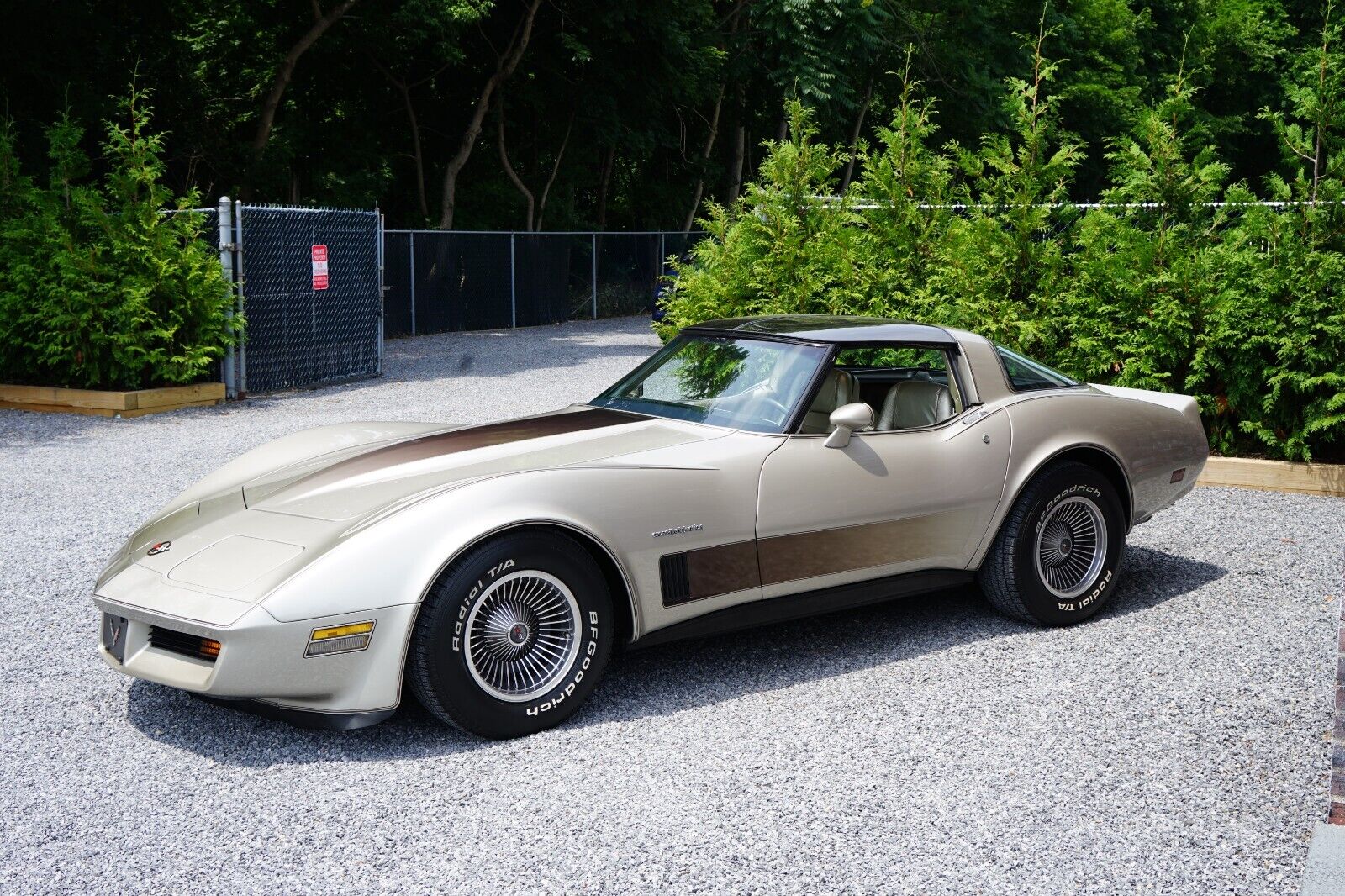 Chevrolet-Corvette-Coupe-1982-Silver-Beige-Metallic-Silver-Beige-35127-25